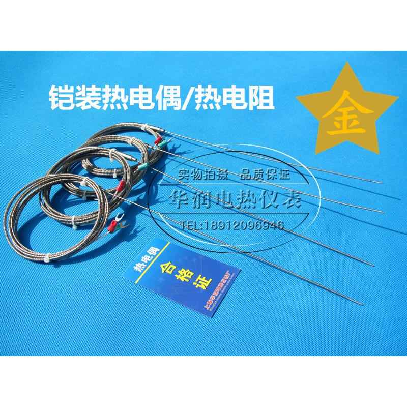 K型铠装热电偶WRNK-191探针温度传感器PT100/E/J热电阻探头高精度