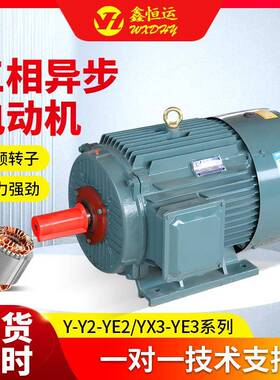三项异步电动机YE2-160M1-11KW矿山机械电机 YE2-160M2-15KW