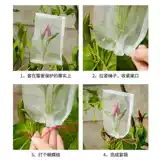 Сетка для защиты от насекомых, сумка для защиты от насекомых, защита от дыни и фруктовых мух, сумка для защиты от птиц, фильтр, упаковка для грейпфрута, пропитанная семенами, нейлоновая сетчатая сумка