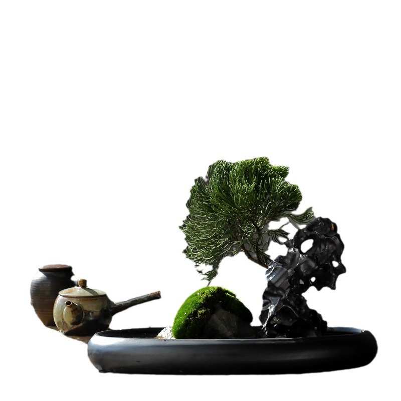 陶瓷黑色大口径浅拼盘米竹菖蒲多肉古典造景枯山水景酒店桌面花盆