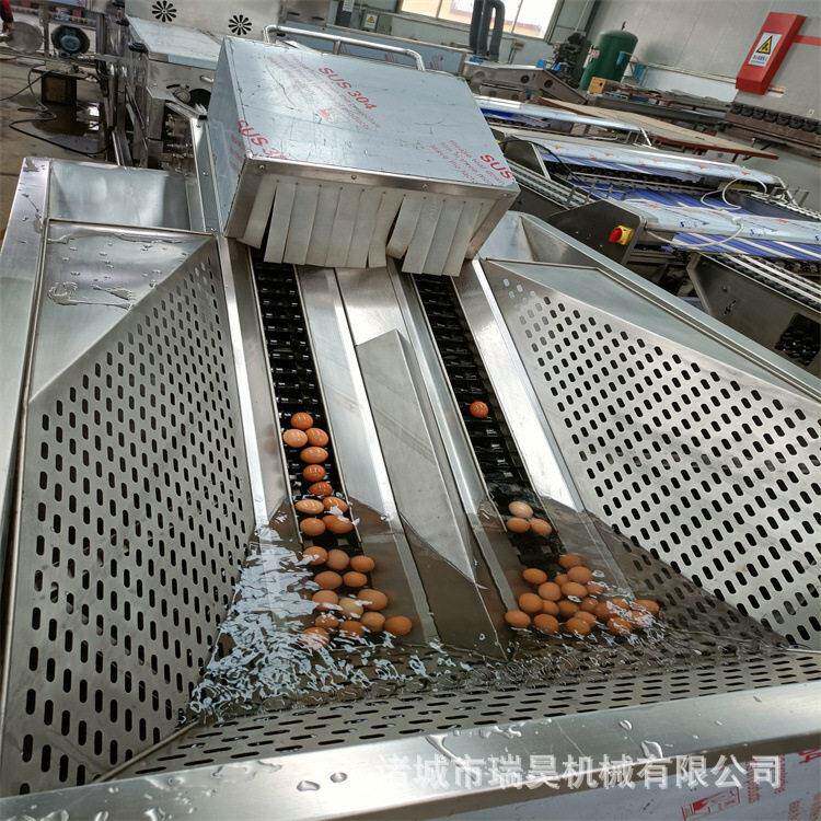 全自动蛋品清洗机鸡蛋鸭蛋清洗机零破蛋率洗蛋机价格品质好
