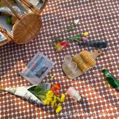 户外地垫垫子防水野炊坐垫垫布加厚野餐露营点防潮波野餐帐篷便携