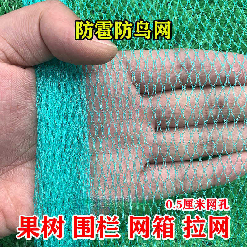 小孔网阳台防鸟户外的防雹网用果树葡萄大棚罩防鸟网防鸟樱桃果园,鲜花速递/花卉仿真/绿植园艺,花架,淘宝优惠券,粉丝福利购,淘宝优惠卷