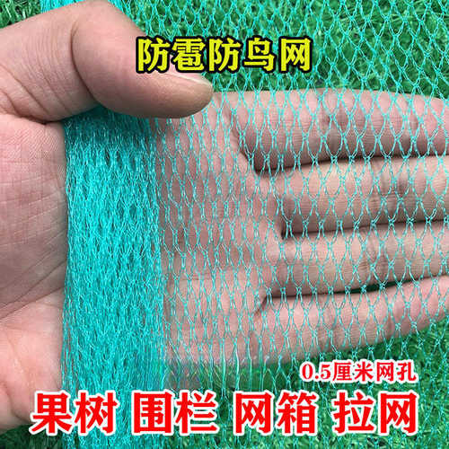 小孔网阳台防鸟户外的防雹网用果树葡萄大棚罩防鸟网防鸟樱桃果园