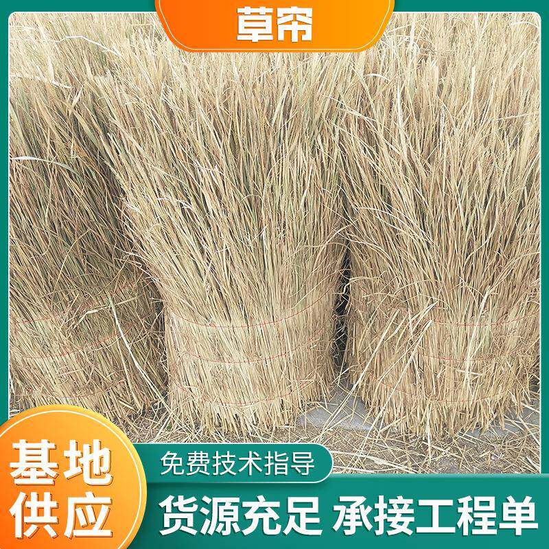 稻草绿化草帘冬季温室草苫子草垛草堆 大棚遮阳草帘芦苇帘子