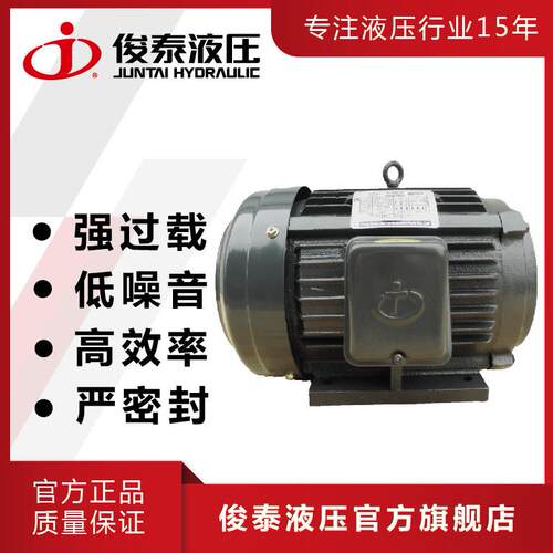 现马货 卧式液压电机 泵油压电机 3HP-4P三相内插轴22K.W油ZRB用
