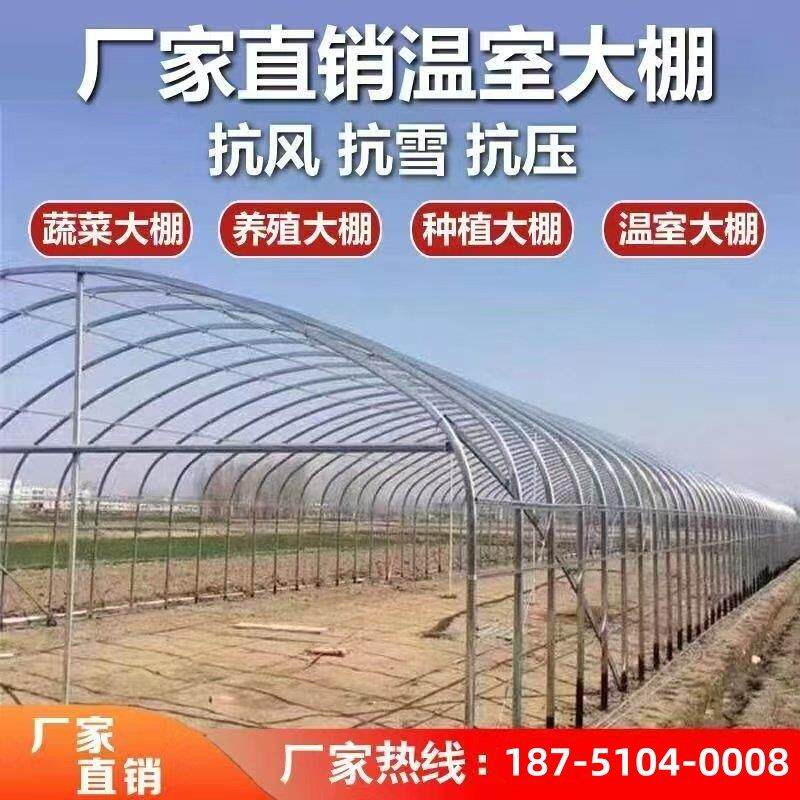大棚骨架钢管蔬菜养殖种植简易薄膜温室连动大棚椭圆管花卉圆管棚