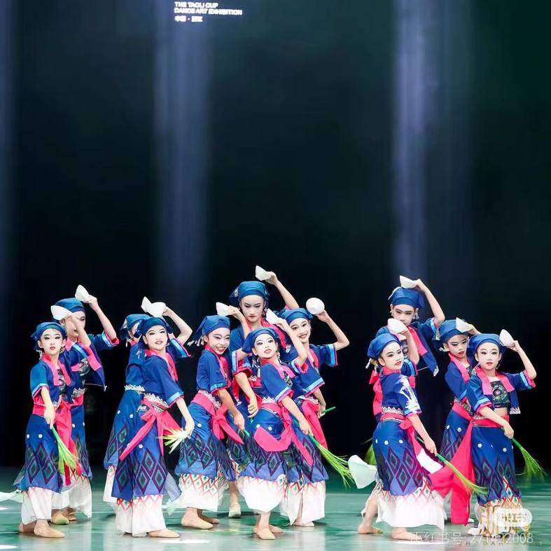生生回响舞蹈服声声少数民族演出服女子群舞表演服彝族黎族苗族服