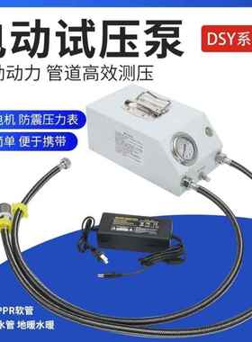 打压泵手提式手动电动试压压泵PFMF打PR水管地压机测机暖泵测漏水