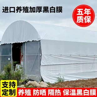 进口抗老化加厚养殖大棚塑料膜遮光隔热防晒黑白膜鸡鸭防渗反光膜