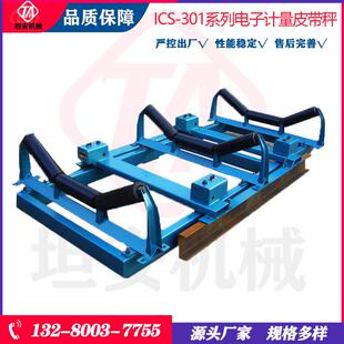 坦安 电子计量皮带秤ICS-301全悬浮式称重ICS电子皮带秤