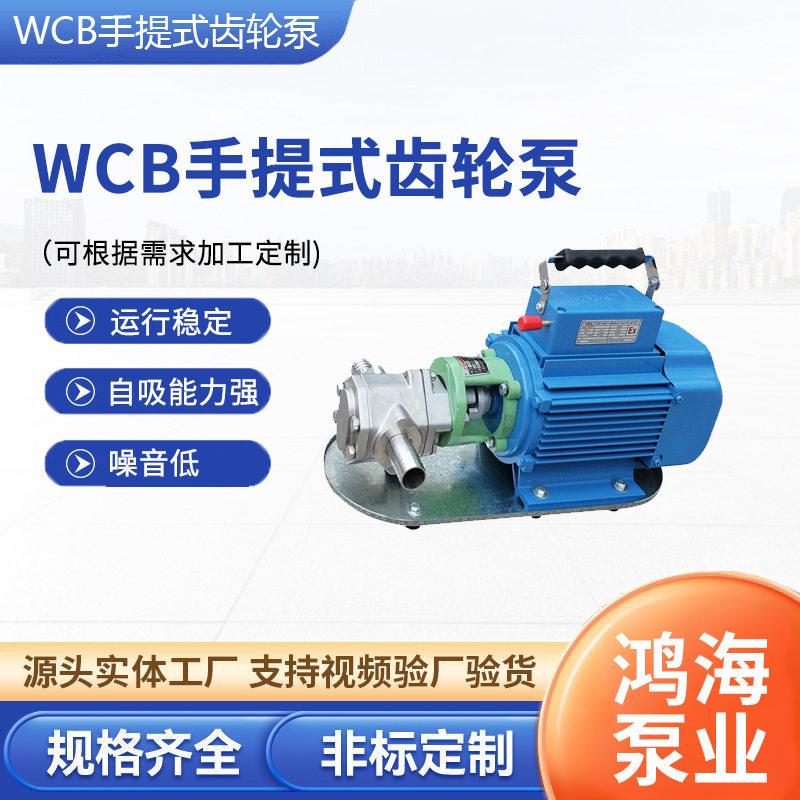 WCB手提式齿轮泵小型电动抽油泵220V便携式手提泵自吸式抽料泵