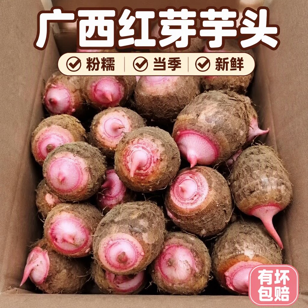广西红芽芋头小芋艿香芋毛芋头粉糯当季带泥新鲜有坏包赔商超品质