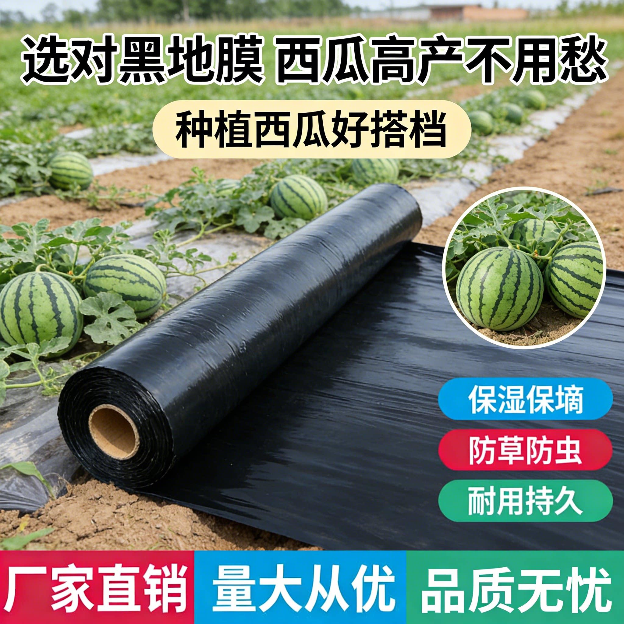 西瓜专用地膜种菜加厚农用种植塑料薄膜防草布除草保温膜地钉