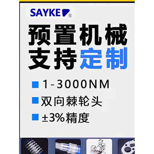赛力克[SAYKE]公斤扭力扳手预置式扭力扳手高精度力矩扳手组套