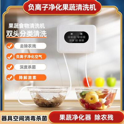 果蔬消毒机果蔬清洗机多功能双头臭氧杀菌除农残洗菜机食材净化器