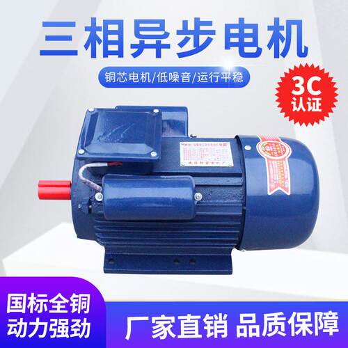 三相异步电动机380V全铜4W立卧式电机机工业动力大功率