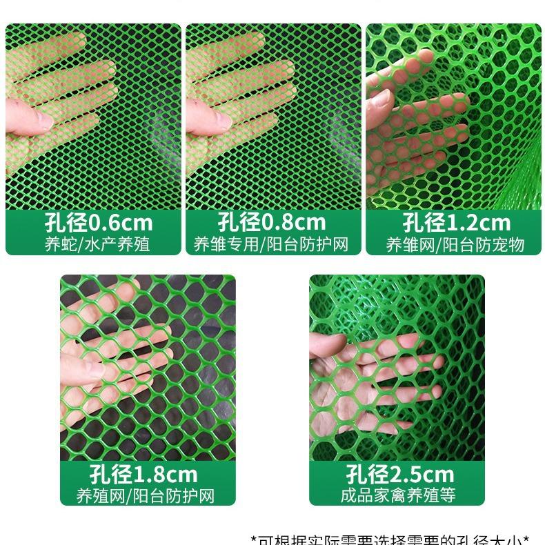 隔离网绿色塑料养殖防护养鸡网