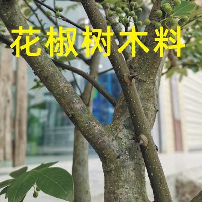 花椒木磨牙棒制作工具天然花椒树材料DIY动手手工宝宝婴儿小玩具
