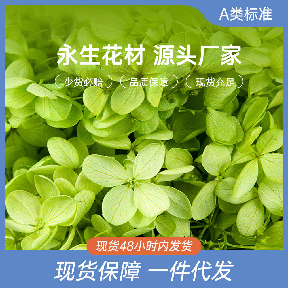 永生花干花木绣球100克大叶永生绣球花材料云南批发36色厂家直发