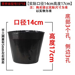荷花盆加厚一次性黑色塑料无孔碗莲盆水生植物育苗盆睡莲盆营养钵