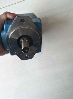 HIGH-TECH海特克油泵PVL1-17-F-1R-U-10 PVL1-19-F-1R-U-10 PV2R1