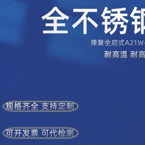 304全不锈钢安全阀A28W-16P弹簧式丝扣高压蒸汽储气罐防爆泄压阀