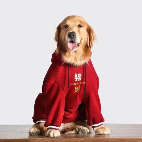 狗狗新年衣服冬季大型犬拉布拉多灵缇威玛惠比特细犬加厚保暖卫衣