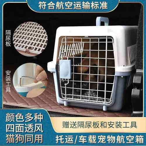 国航猫咪航空箱宠物托运箱犬用猫笼子便携手提外出猫包狗狗狗箱子