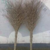 学校 采购产品环卫工人大扫把 工厂 旧扫把 户外 竹扫把