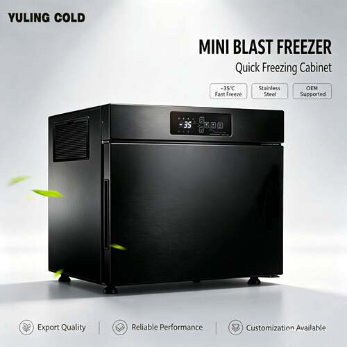 速冻柜迷你速冻柜速冻机零下35速冻海鲜水饺汤圆miniblastfreezer