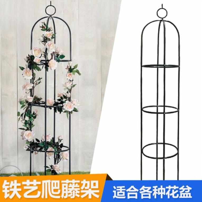 园艺藤本植物攀爬花架阳台盆栽支架铁艺室内月季铁线莲爬藤赵之周