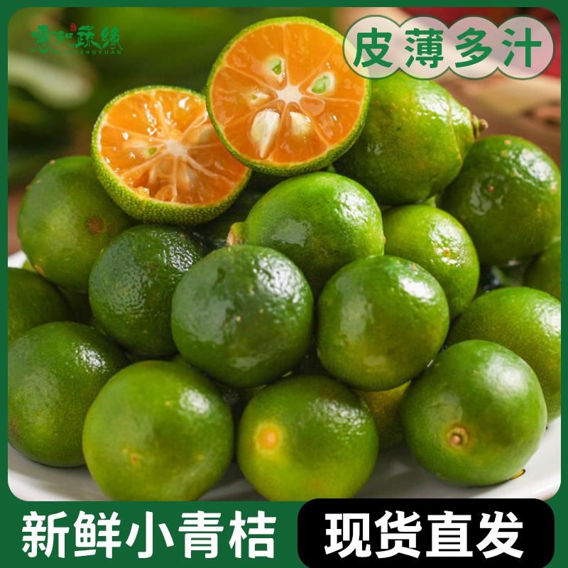 海南小金桔小青桔精选小青桔酸橘奶茶店专用新鲜当季水果柠檬整箱