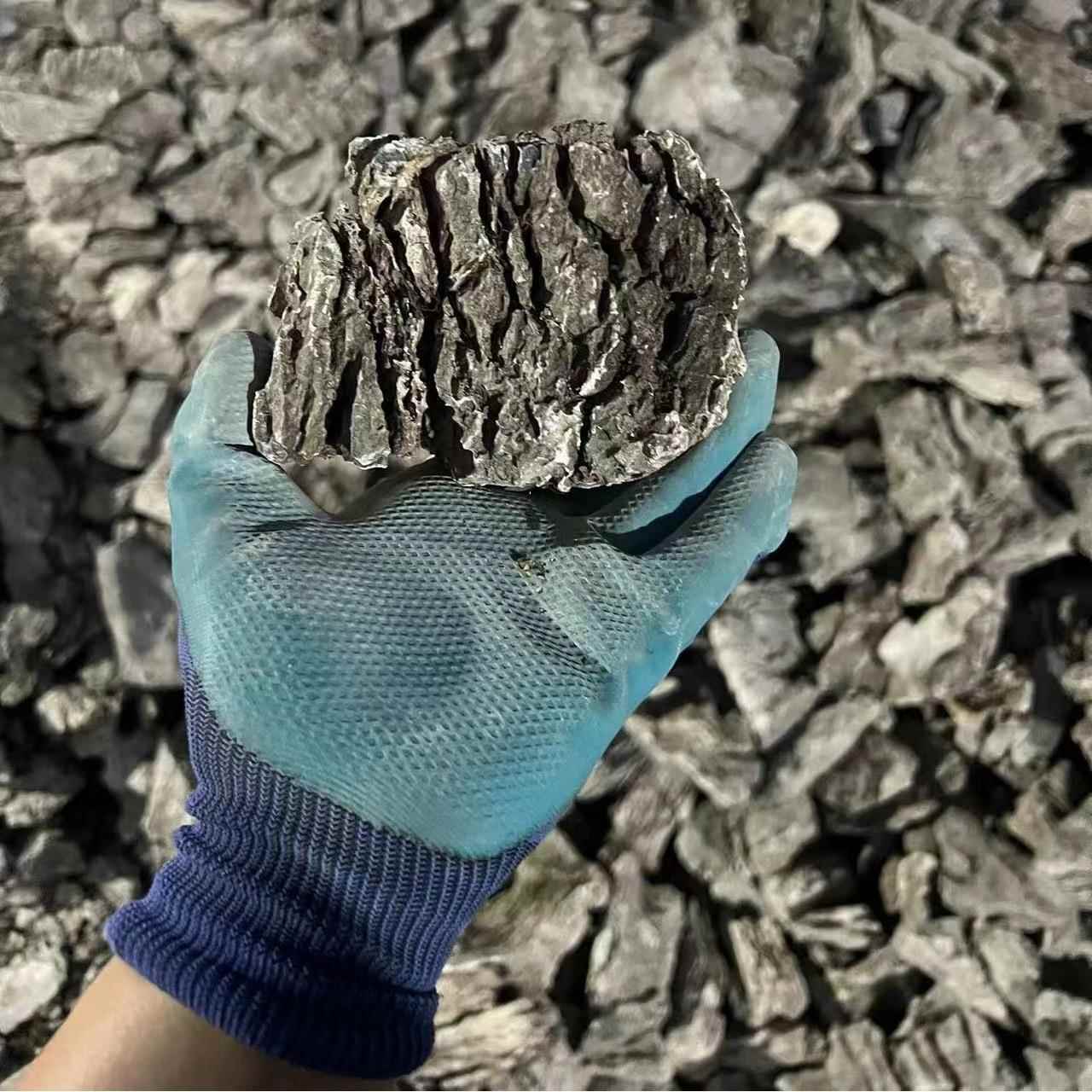 -20厘米5青龙鱼缸假山造石景青龙石水族鱼造缸造景石216微景观景