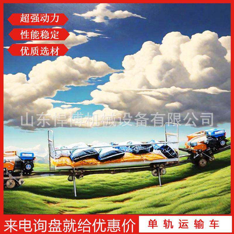 山地轨运输车汽油柴油自走式农用货物拉运车山地果园轨运输车