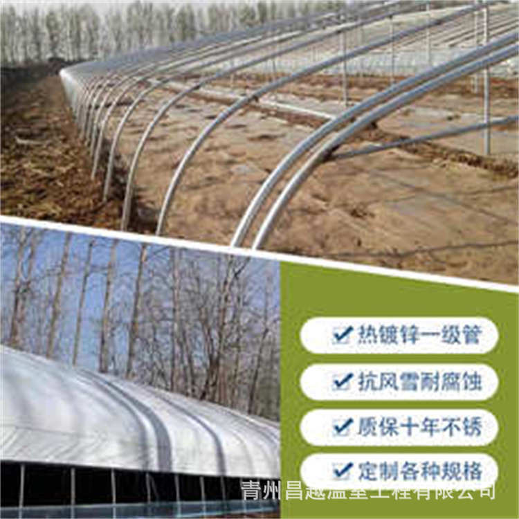 厂家安装设计温室花卉养殖大棚 搭建农业畜牧家禽种植棚养殖大棚