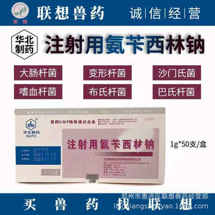 巴氏杆菌 注射用氨苄西林钠 华北制药 大肠杆菌 沙门氏菌