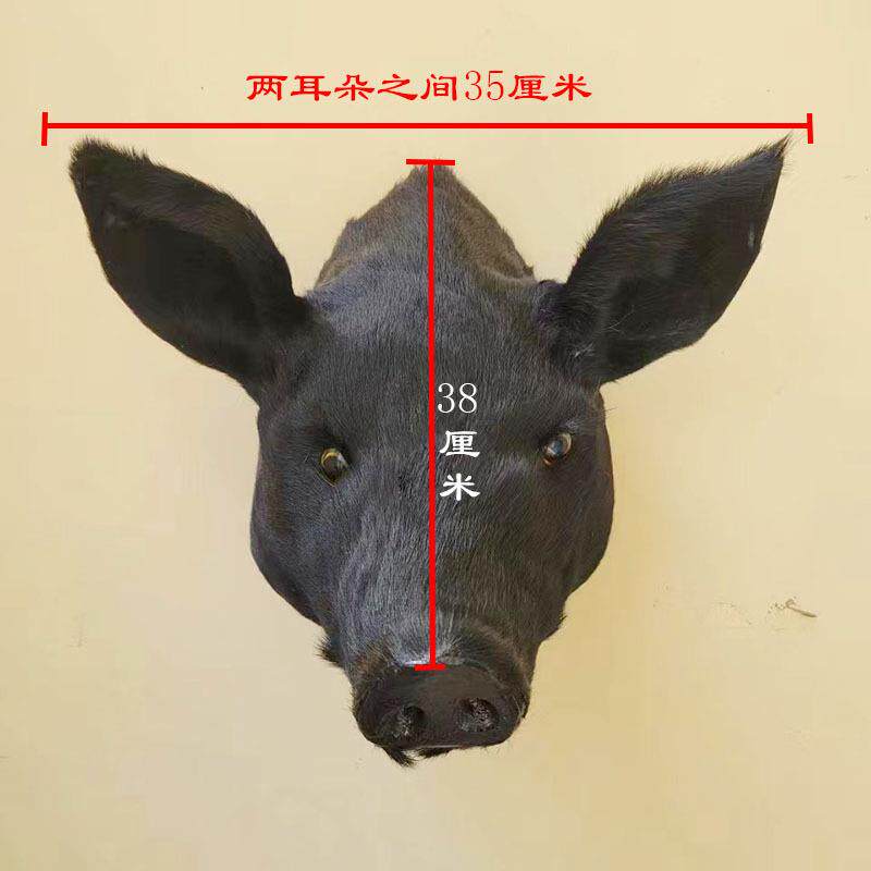 仿真猪头动物模型挂件玄关酒吧餐厅装饰品道具动物头壁挂墙面挂饰