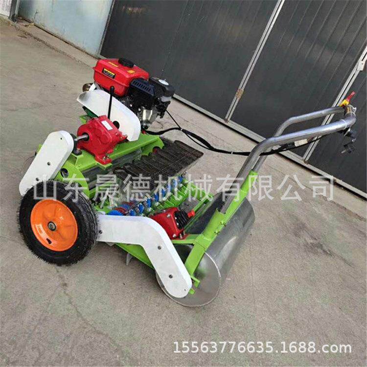 小颗粒蔬菜精播机 四轮桔梗柴胡点播大棚芹菜育苗播种机