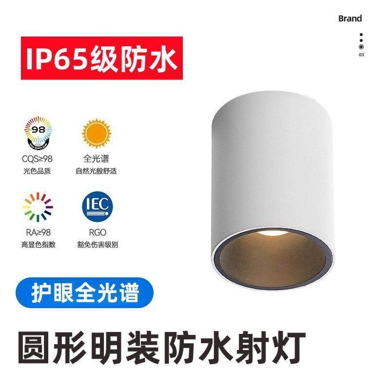 led明装防水射灯家用浴室卫生间天花户外店铺门头cob明装吸顶筒灯