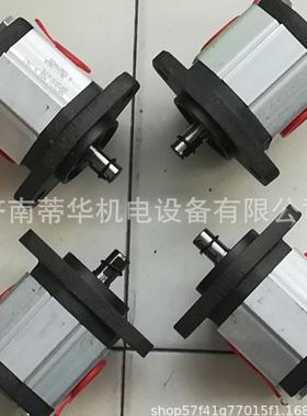 试验机液压油泵MARZOCCHIGHP2A-D-16-FG马祖奇齿轮泵