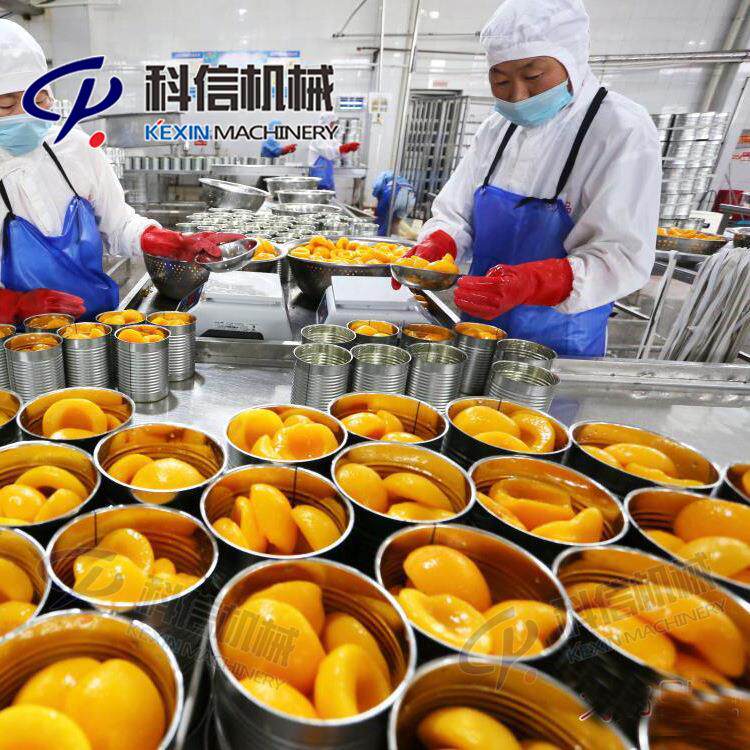 整套椰果罐头生产线小型椰果罐头加工设备椰果罐头制作设备