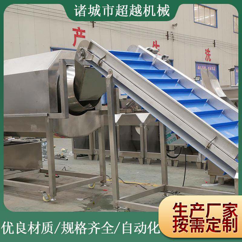 厂家供应大枣清洗机水果清洗机甜橙清洗机蔬菜气泡加工设备