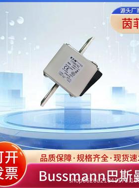 熔断器170M6744 170M6745 170M6746 170M6747 170M6748 170M6749