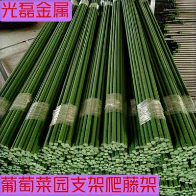 种菜爬藤架葡萄黄瓜豆角架种菜花支架庭院花卉植物支撑杆番茄架杆