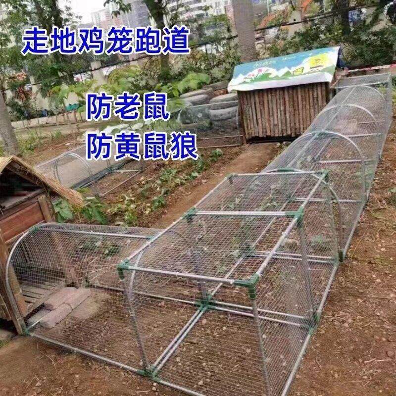 新款大号走地鸡笼隧道养鸡兔笼庭院笼子农场户外溜达农家跑道鸡舍