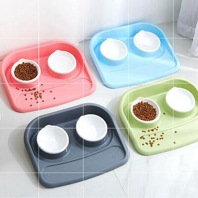 Teddy dog bowl cat bowl two bowls of green plastic