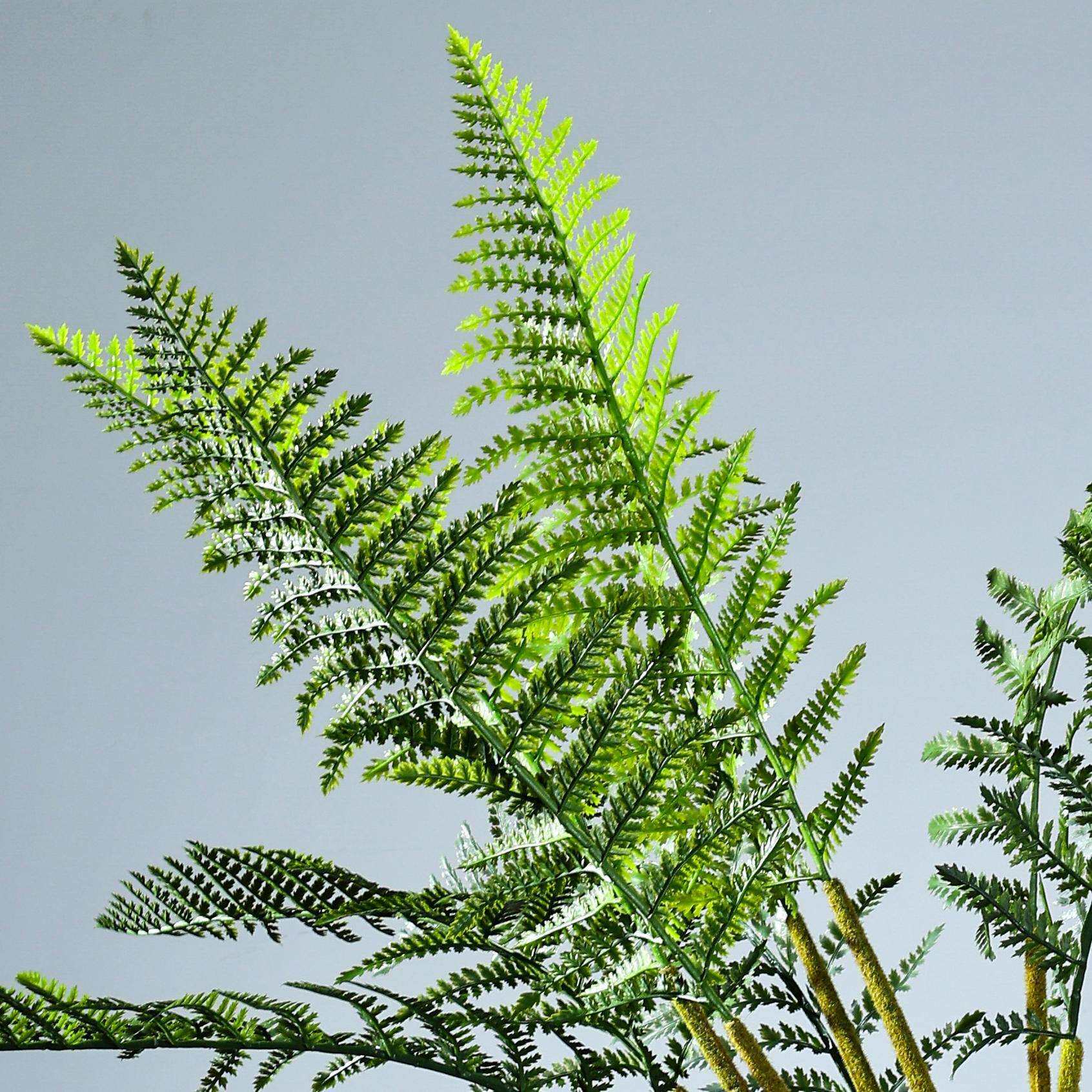 波斯蕨波斯草猴头蕨仿真绿植大型把束软装造景装饰植物盆栽摆件