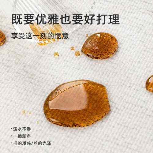 地毯客厅耐脏易打理极简轻奢高级感防水全铺床边家用卧室毯大面积