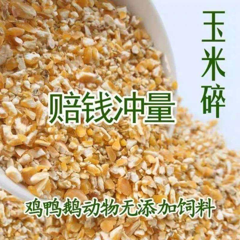 新鲜玉米碎玉米粉玉米渣粒米糠鸡鸭鹅鹌鹑猪鸟鸽子40斤厂家亚马逊
